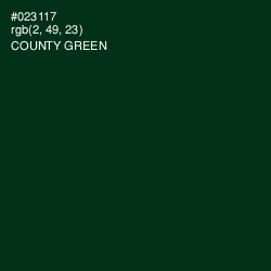 #023117 - County Green Color Image